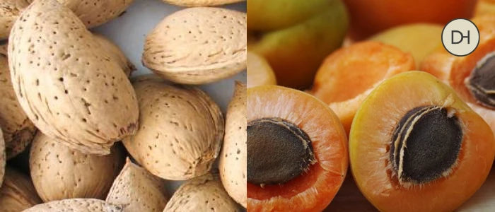 Huesos de almendras y albaricoques para elaborar el Amaretto