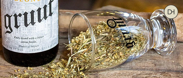 Herbes utilisées dans la production des bières Gruut