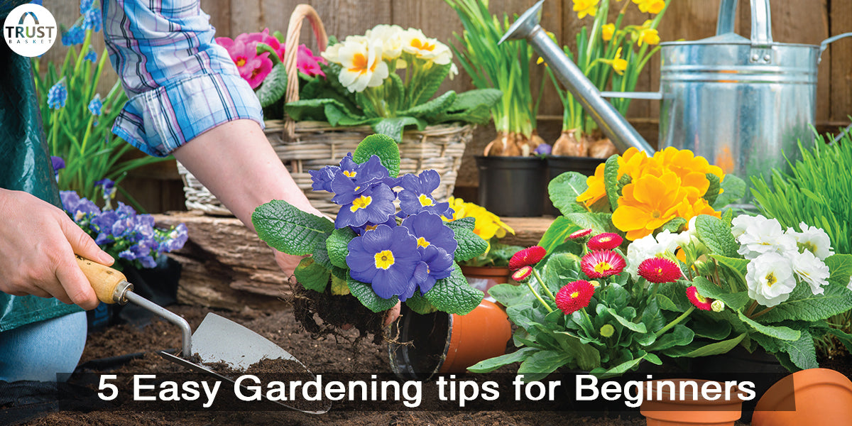 5 Easy Gardening Tips For Beginners – Trustbasket