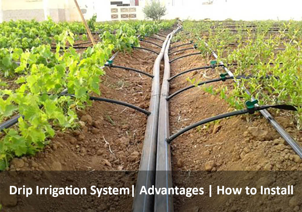 Irrigation Service In Vancouver