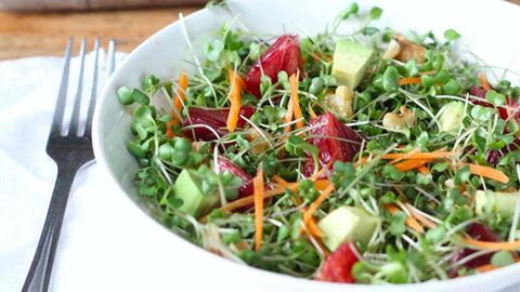 Microgreens in salads