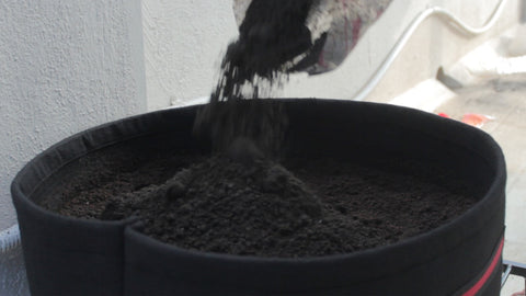 Adding potting mix to grow bag - how to grow spinach 