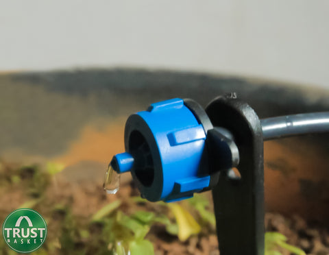 emitter of drip irrigation system