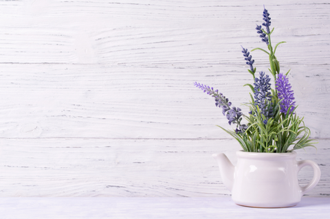 lavender flowers - Benefits of growing indoor plants