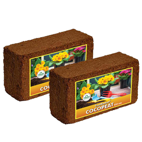 Compressed Coco Bricks