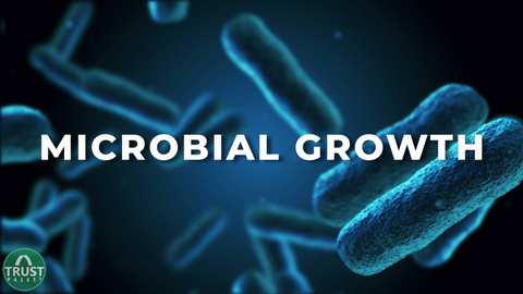 microbes in soil