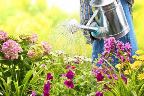 Women watering the summer flowering plants