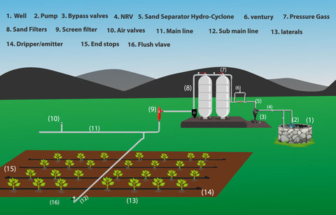 Layout or components of Drip Irrigation System