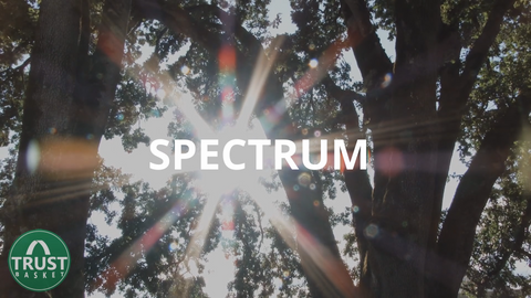 The spectrum of light