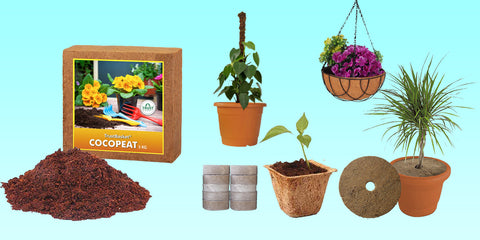 Different coir products