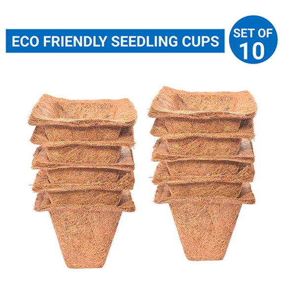 Coir Seedling Cups 4 inches (Set of 10) TrustBasket