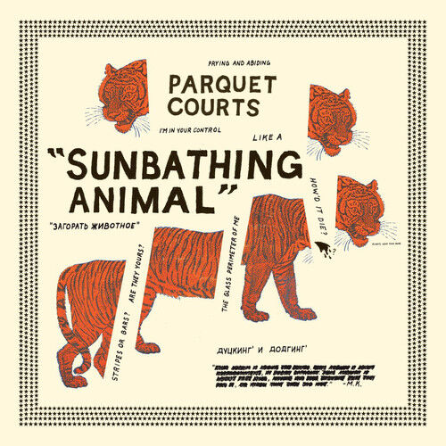 Sunbathing Animal CD - Parquet Courts product image