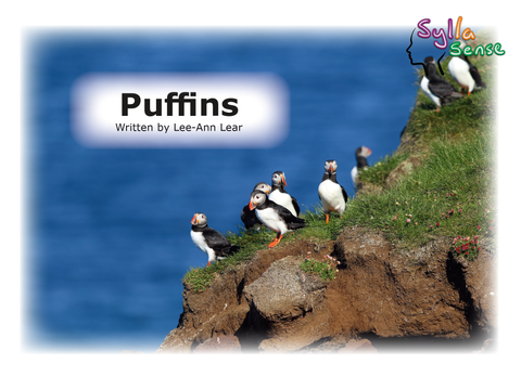 An image of a cover of the book "Puffins" showing a group of puffins clustered on a cliff in front of the ocean