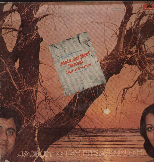 Main Aur Meri Tanhai -Ghazal Vinyl LP
