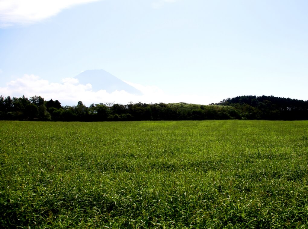 あさぎり宝山ファーム