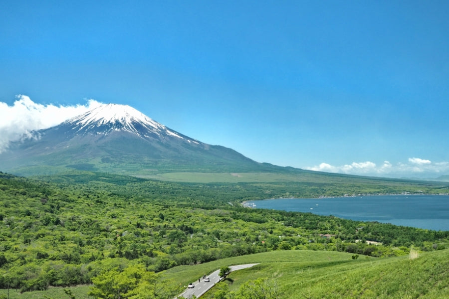 富士山がもたらす”山の恵み”