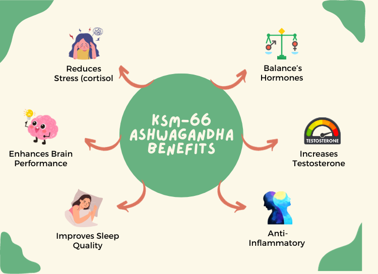 Best Ashwagandha Ksm-66