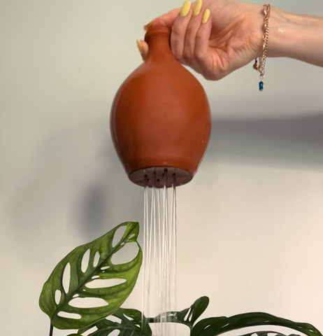 ceramic watering can