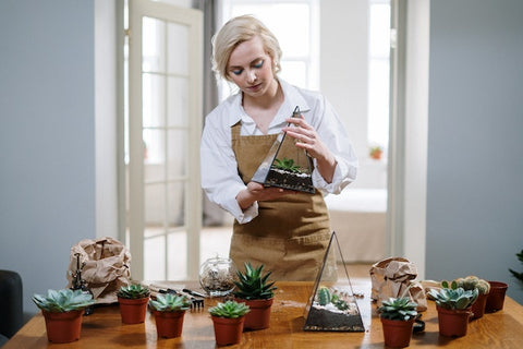 Terrariums