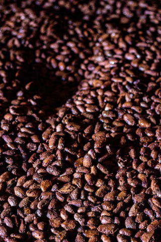 Fermented cocoa