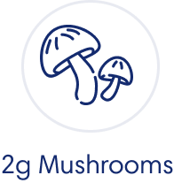 2g mushrooms.png__PID:d6ae7858-39a9-4ac9-89e8-687ee073db27