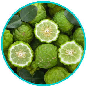 Intoxicate_Clay_Ingredient_Bergamot