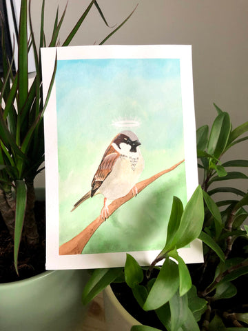 watercolor illustration of a male house sparrow