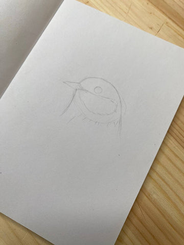 Paper with quick sketching of a Great Tit