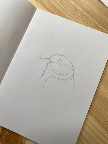 Paper with more define lines of sketch of the Great Tit