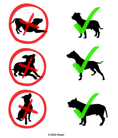 3 silhouettes of pit bull-type dogs in different positions, with red circles and lines across them, beside 3 silhouettes of pit bull type dogs standing, all with green check marks across them