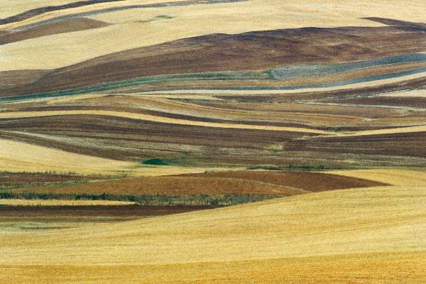 Franco fontana basilicata 1978 - Adsum