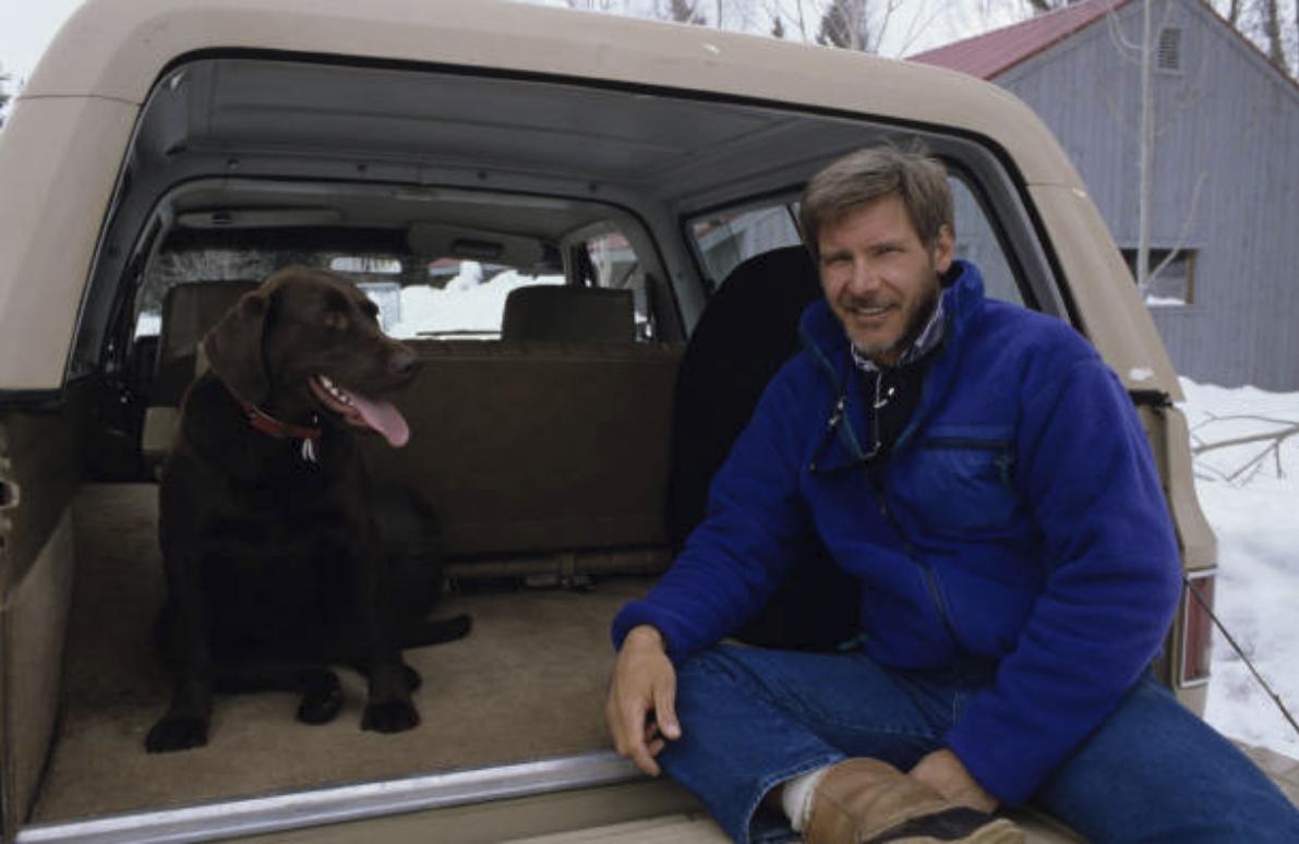 Harrison Ford and dog