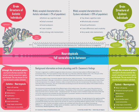 an infographic poster