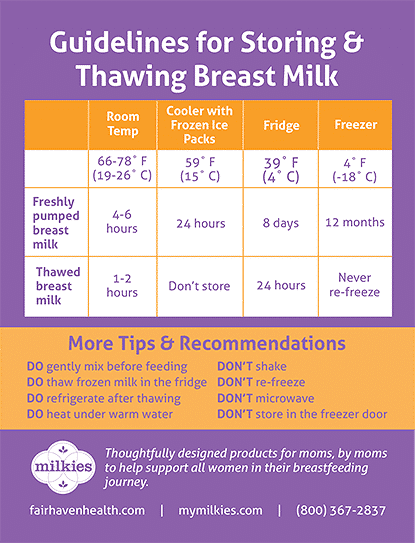Fairhaven Health Milkies Milk-Saver, Milk Catcher for Breastmilk, Shell to  Collect Leaking Breastmilk, Collector Cup for Nursing & Breastfeeding