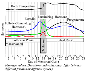 Healthy Luteal Phase with Progesterone