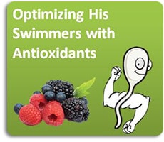 Optimize His Swimmers with Antioxidants