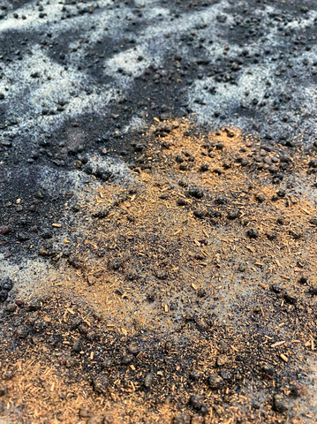 A close-up of madder root and buckthorn berry on top of fabric