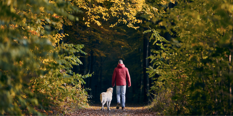 Dog and owner walking in a park