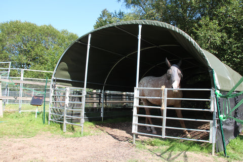 Enclosed Livestock shelter