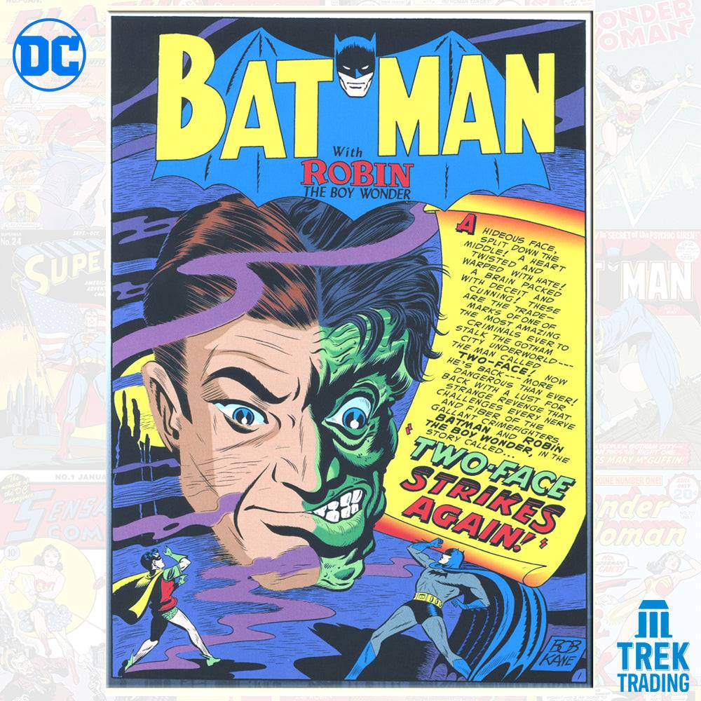 DC Comics Graphic Novel Collection DCGUK119 Batman - Jekyll And Hyde V –  Trek Trading