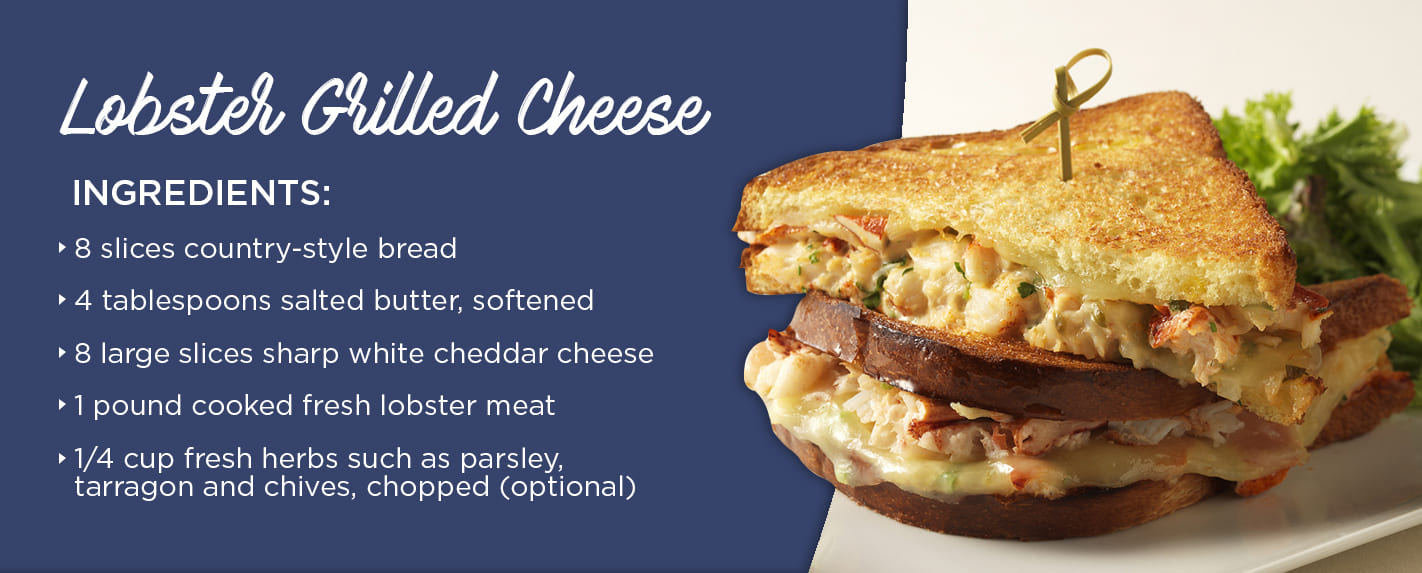 Lobster grilled cheese recipe