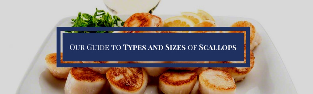 Our Guide To Types and Size of Scallops