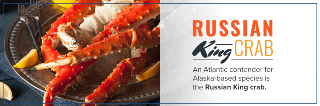 Russian  Red King Crab