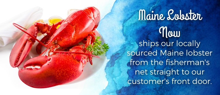 Maine Lobster Now Gifts