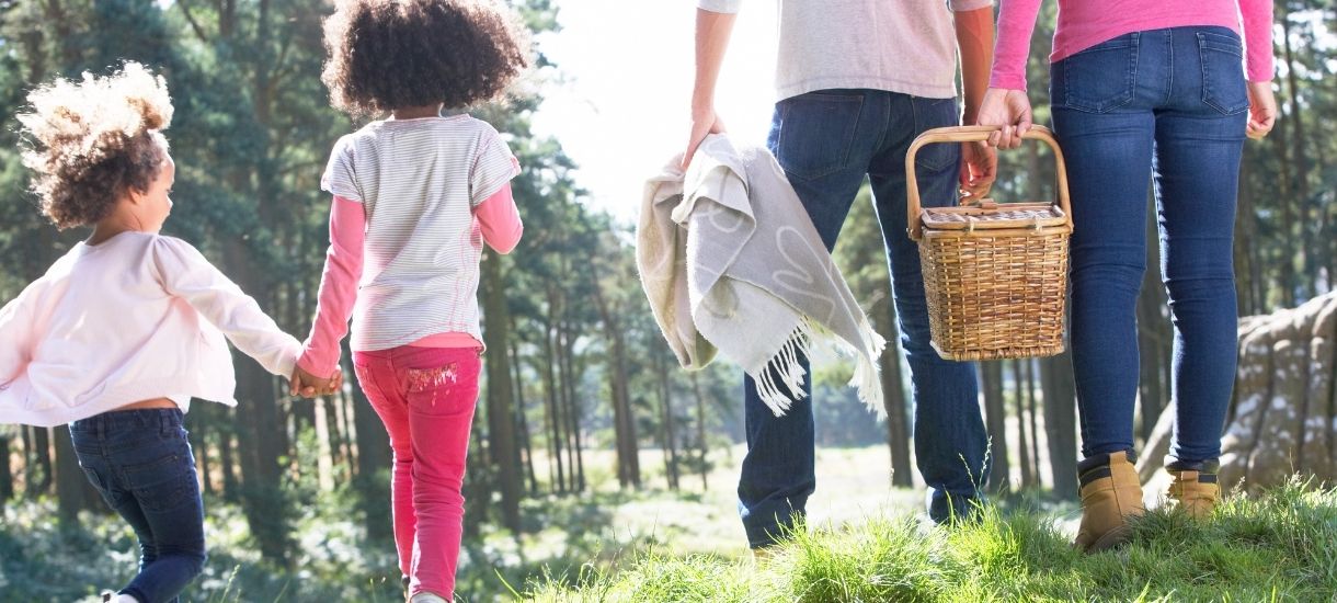 Stainless Steel Summer Picnic Essentials