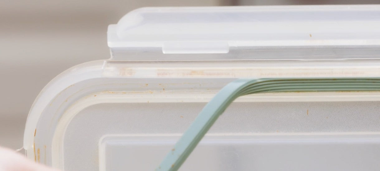 What to Do About Mold Growing In Your Food Storage Container Lids