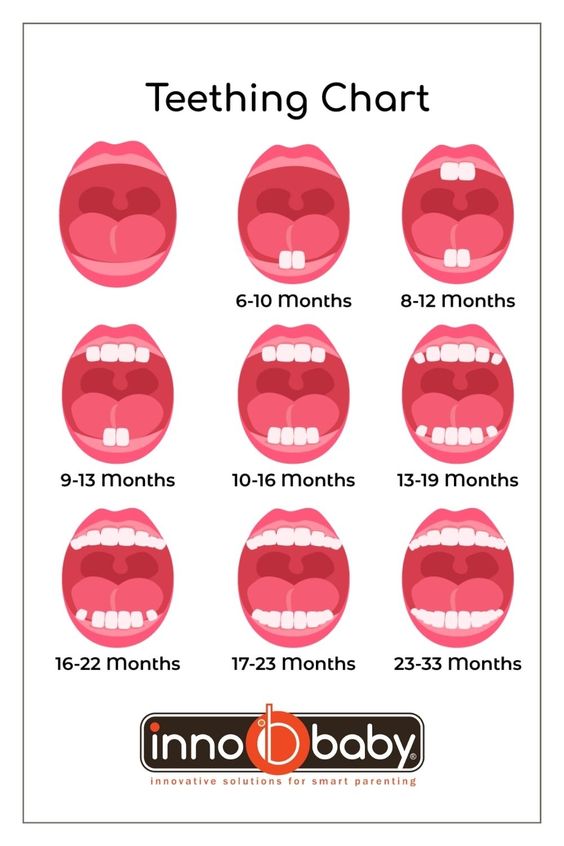 teething-chart