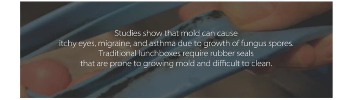 Understanding How a Moldy Lunchbox Happens