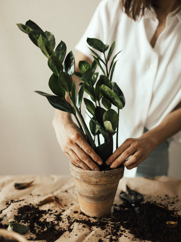 Destress with a new hobby like gardening