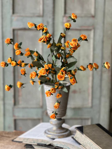 Crinoline Blooms Bush - Sedona